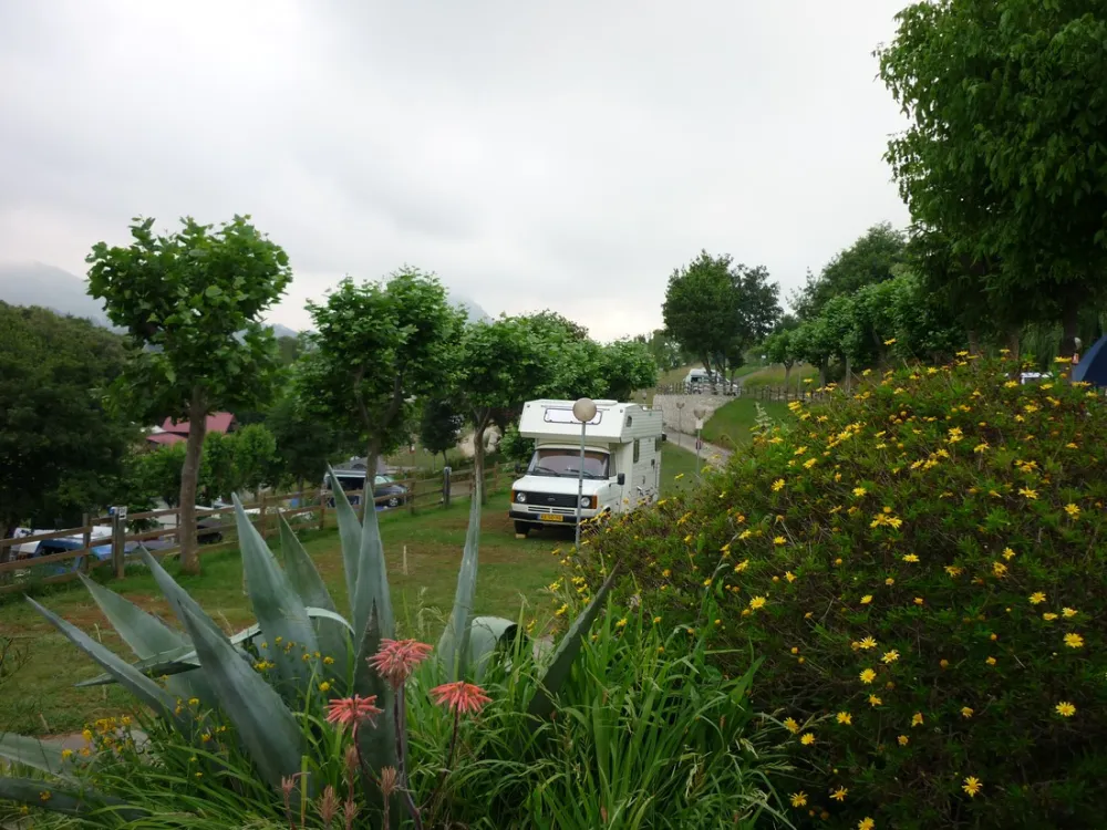 Camping playa RIBADESELLA