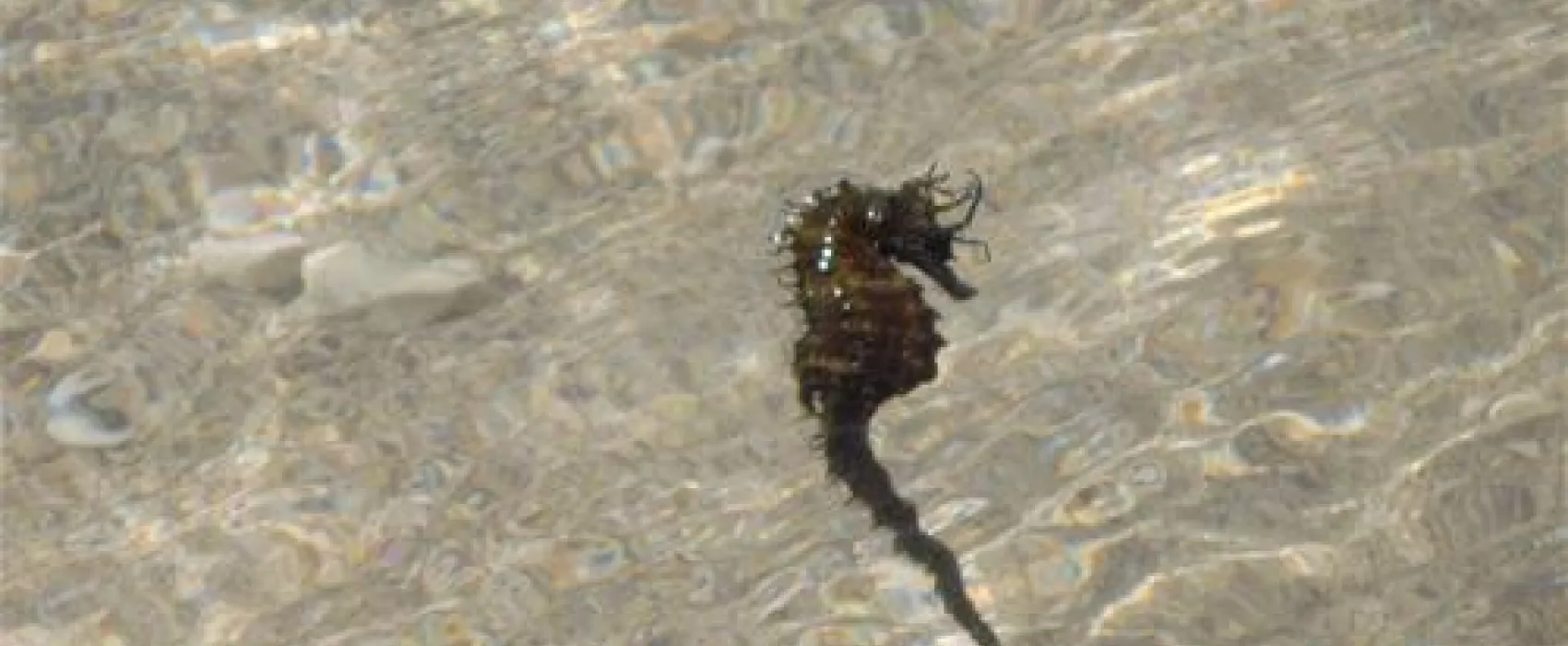 ODMOREE CAMPING & HOSTEL