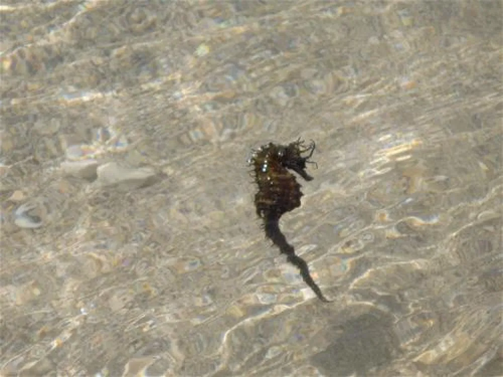 ODMOREE CAMPING & HOSTEL