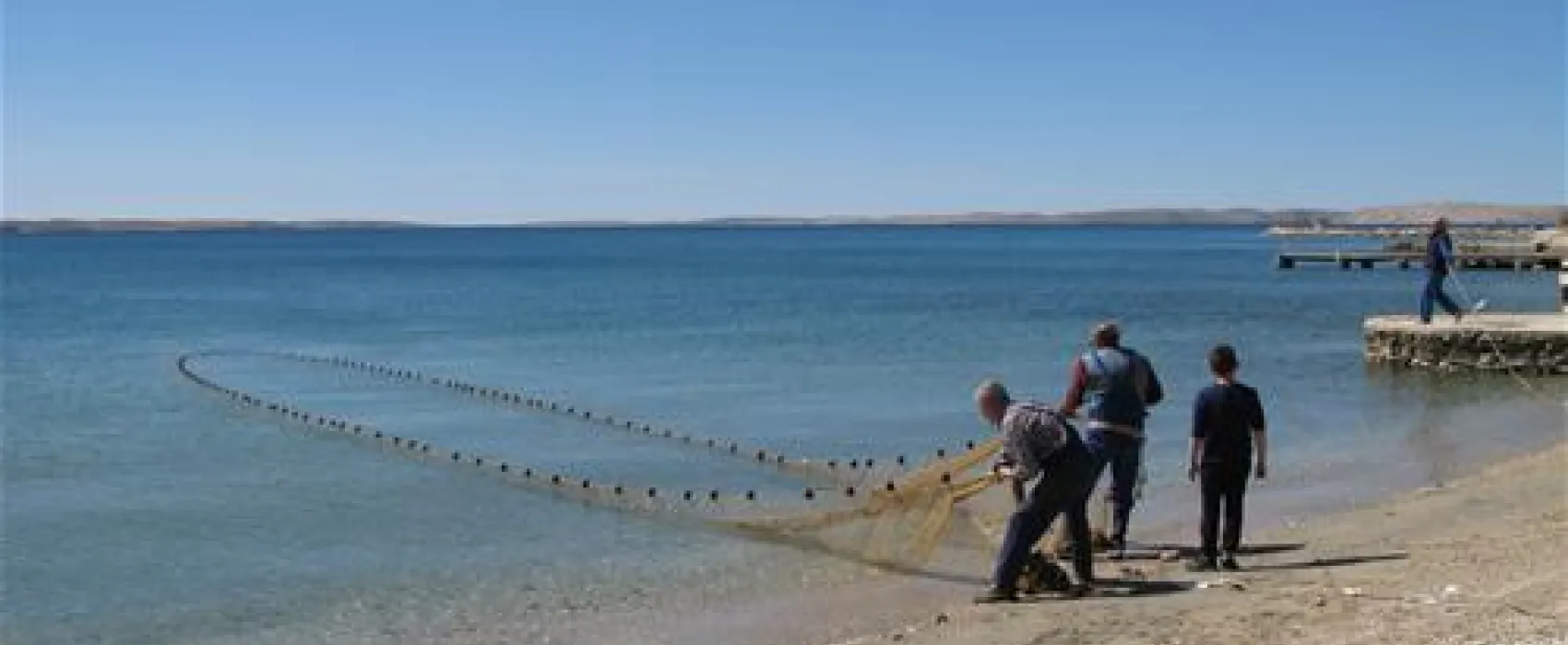 ODMOREE CAMPING & HOSTEL