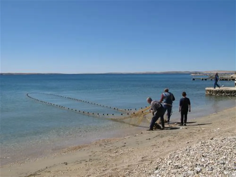 ODMOREE CAMPING & HOSTEL