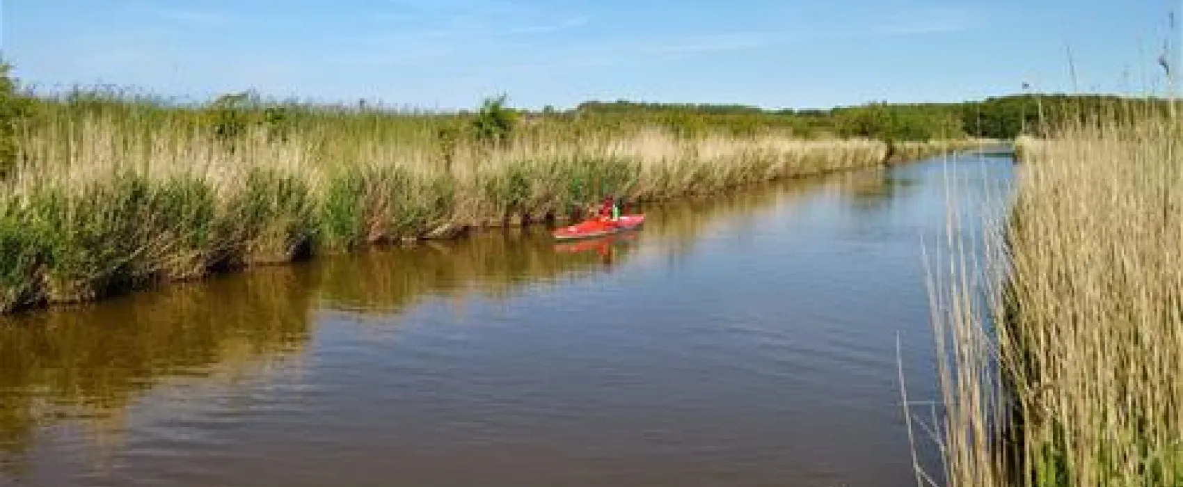 Mini Camping Van Tatenhove