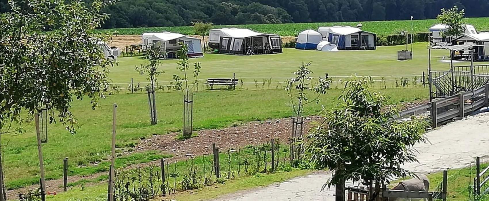 Boerderijcamping Berghemmerhof