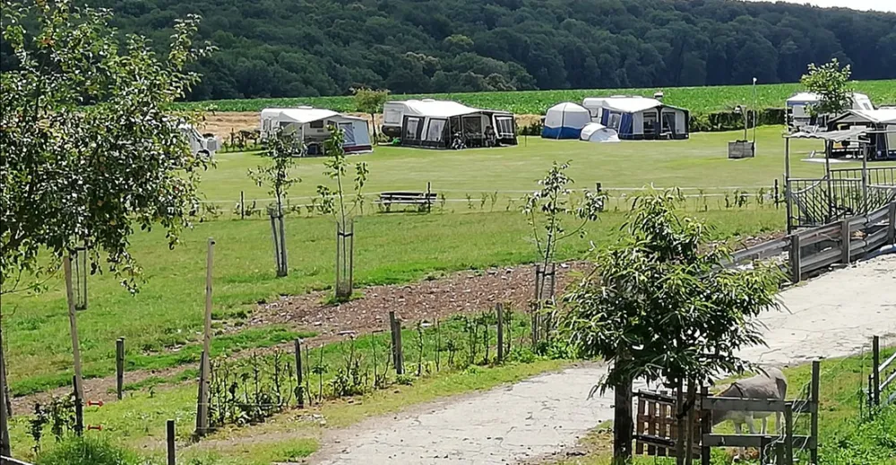 Boerderijcamping Berghemmerhof