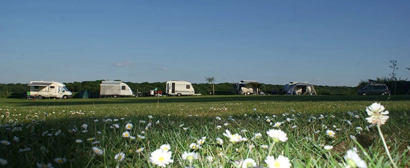 Boerderijcamping Berghemmerhof