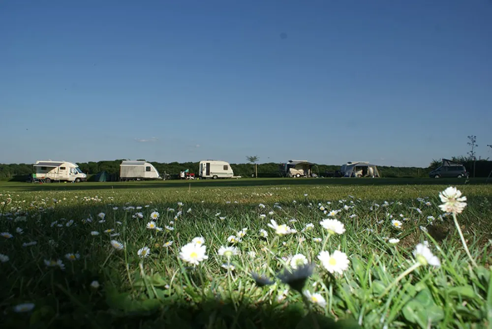 Boerderijcamping Berghemmerhof