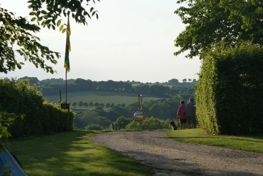 Boerderijcamping Berghemmerhof