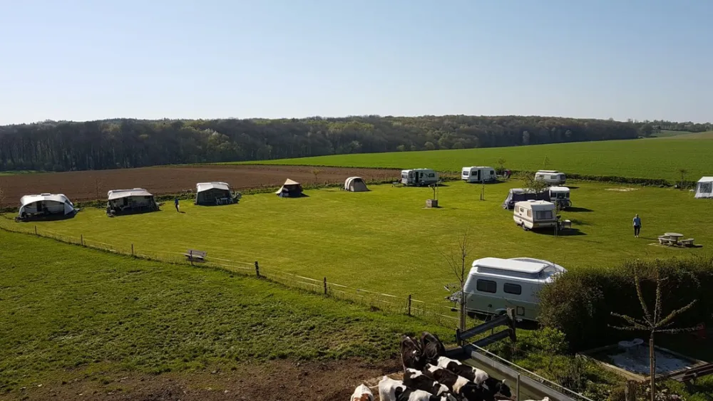 Boerderijcamping Berghemmerhof