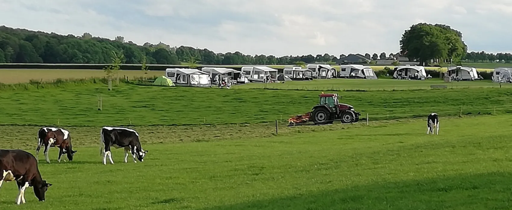 Boerderijcamping Berghemmerhof