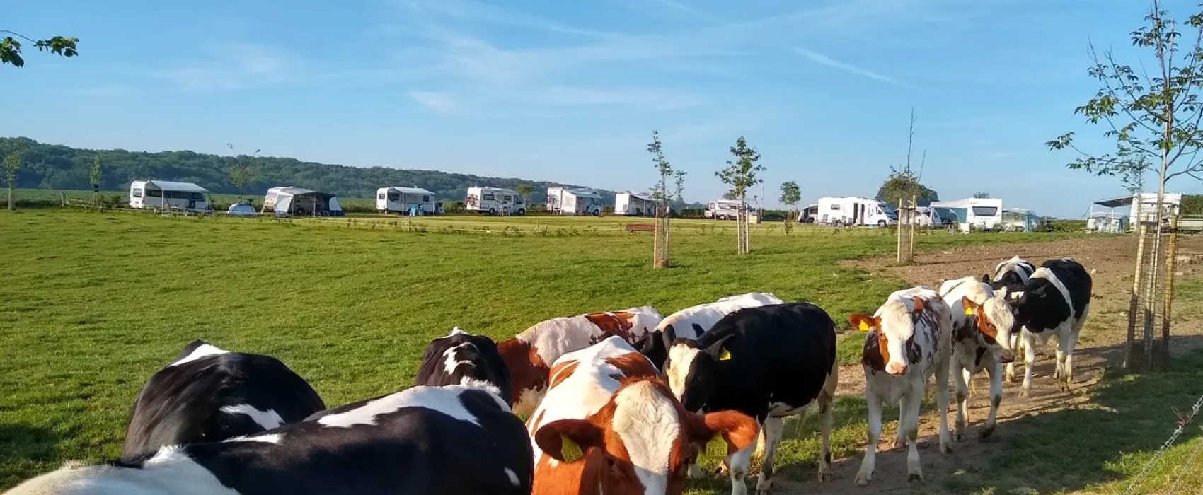 Boerderijcamping Berghemmerhof