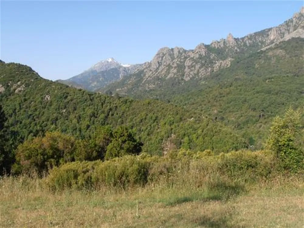 camping aire naturelle la ferme de Peridundellu