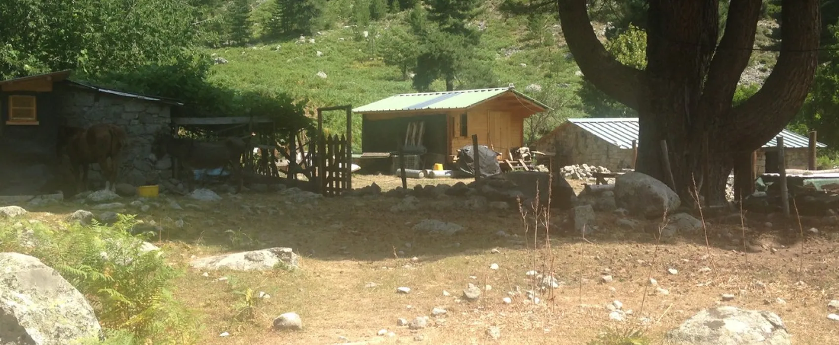 camping aire naturelle la ferme de Peridundellu