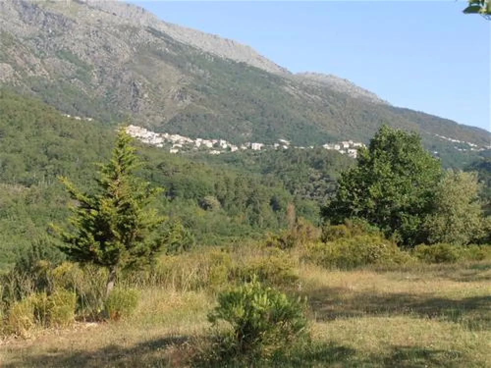 camping aire naturelle la ferme de Peridundellu