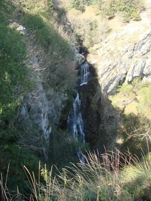 Camping Das Pinhiers