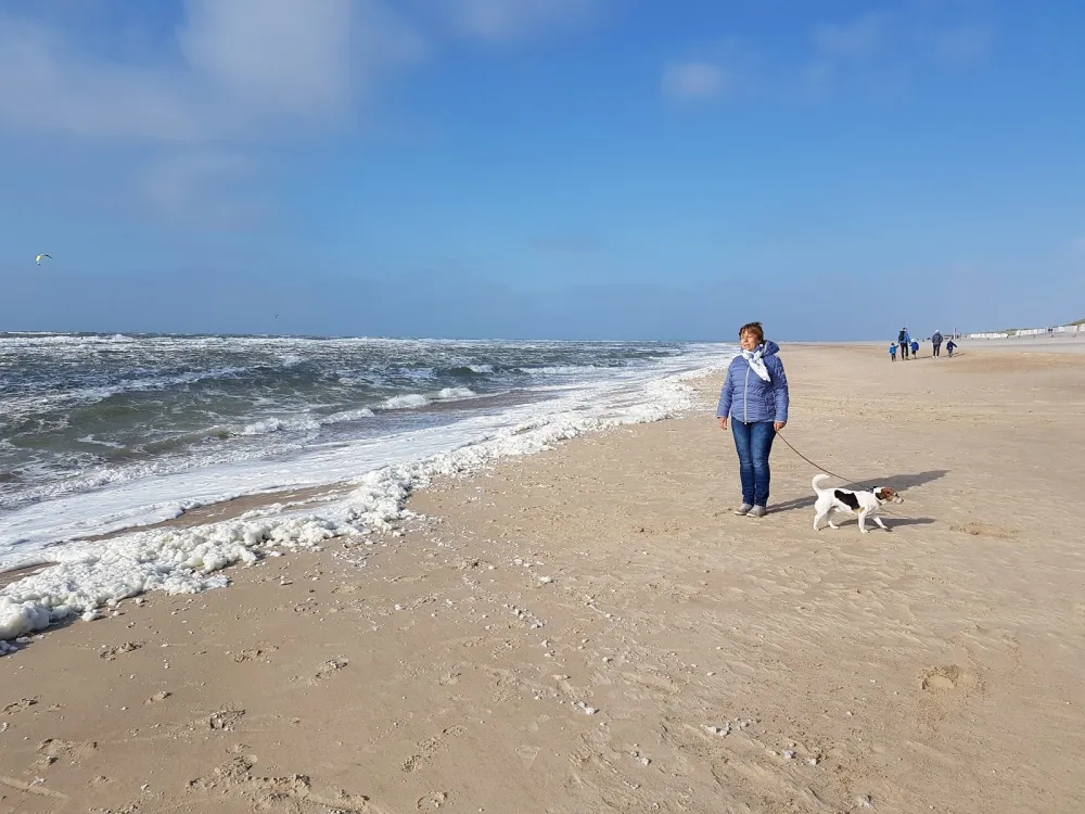 Camping Nooit Gedacht