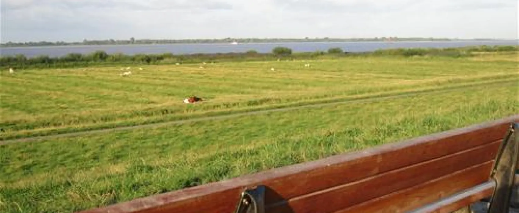 Elbdeich Camping Kollmar