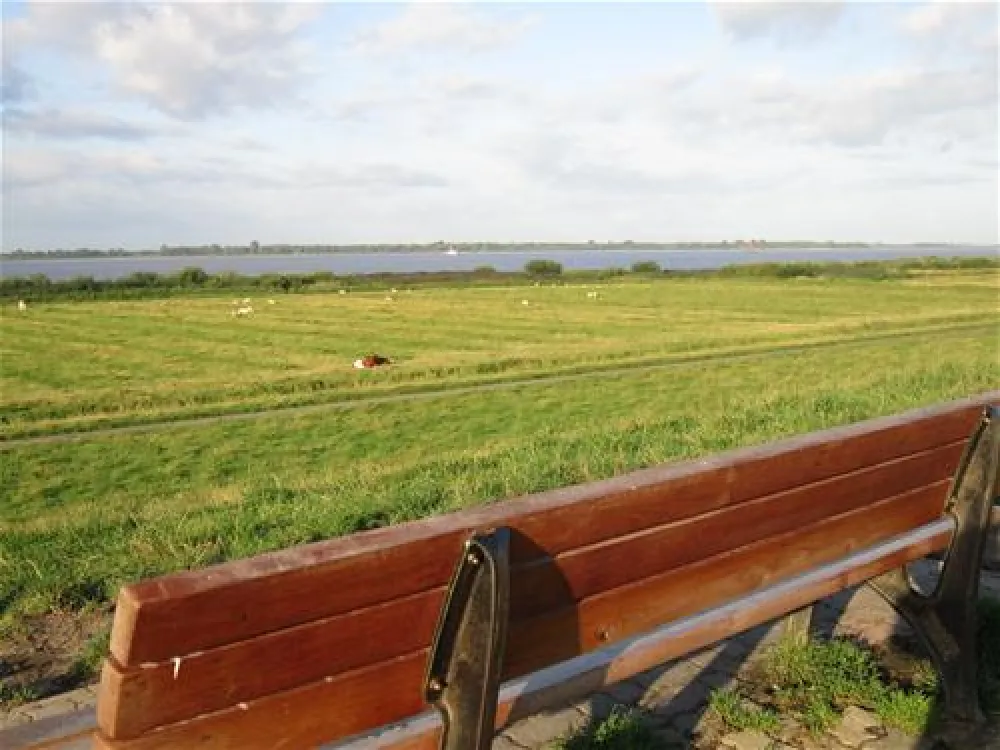 Elbdeich Camping Kollmar