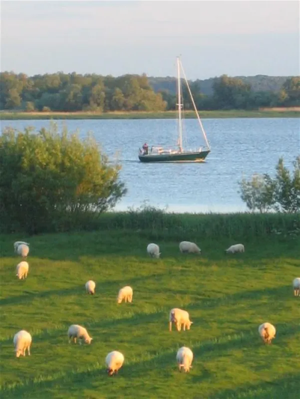 Elbdeich Camping Kollmar