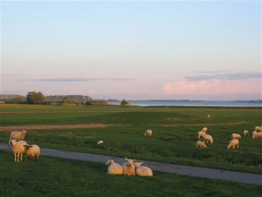 Elbdeich Camping Kollmar