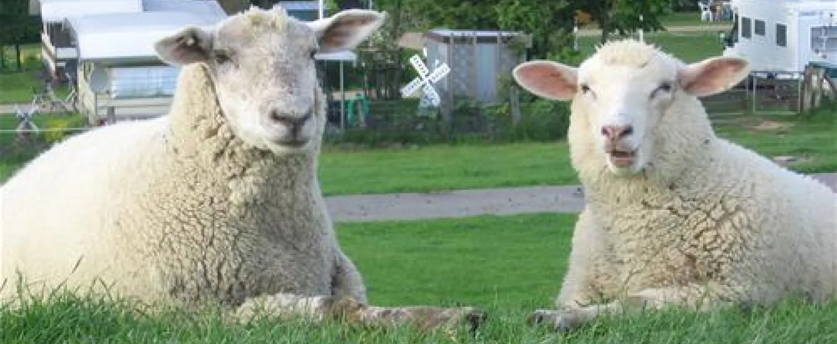 Elbdeich Camping Kollmar