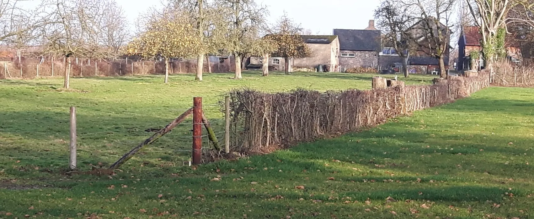 Camping De Wolfsberg