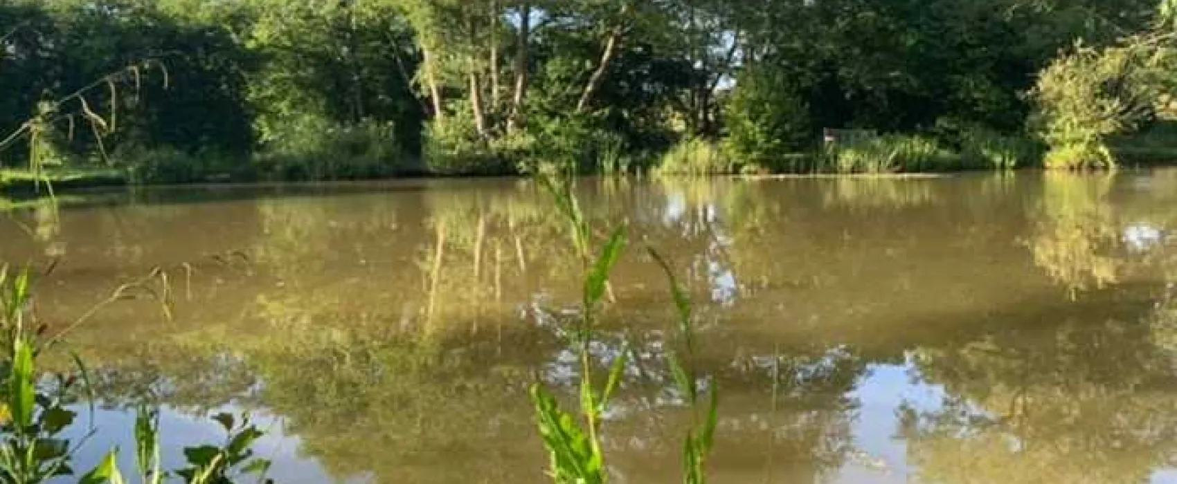 Honeys Green Caravan Park