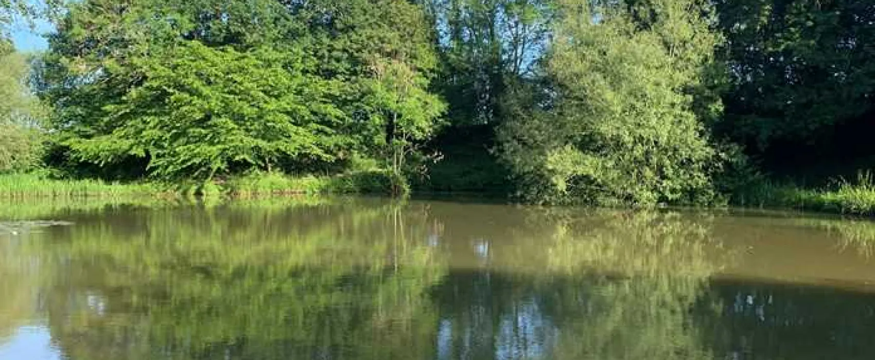 Honeys Green Caravan Park