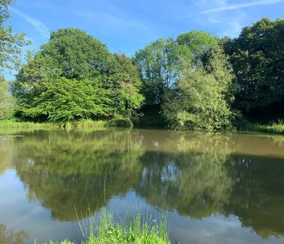 Honeys Green Caravan Park