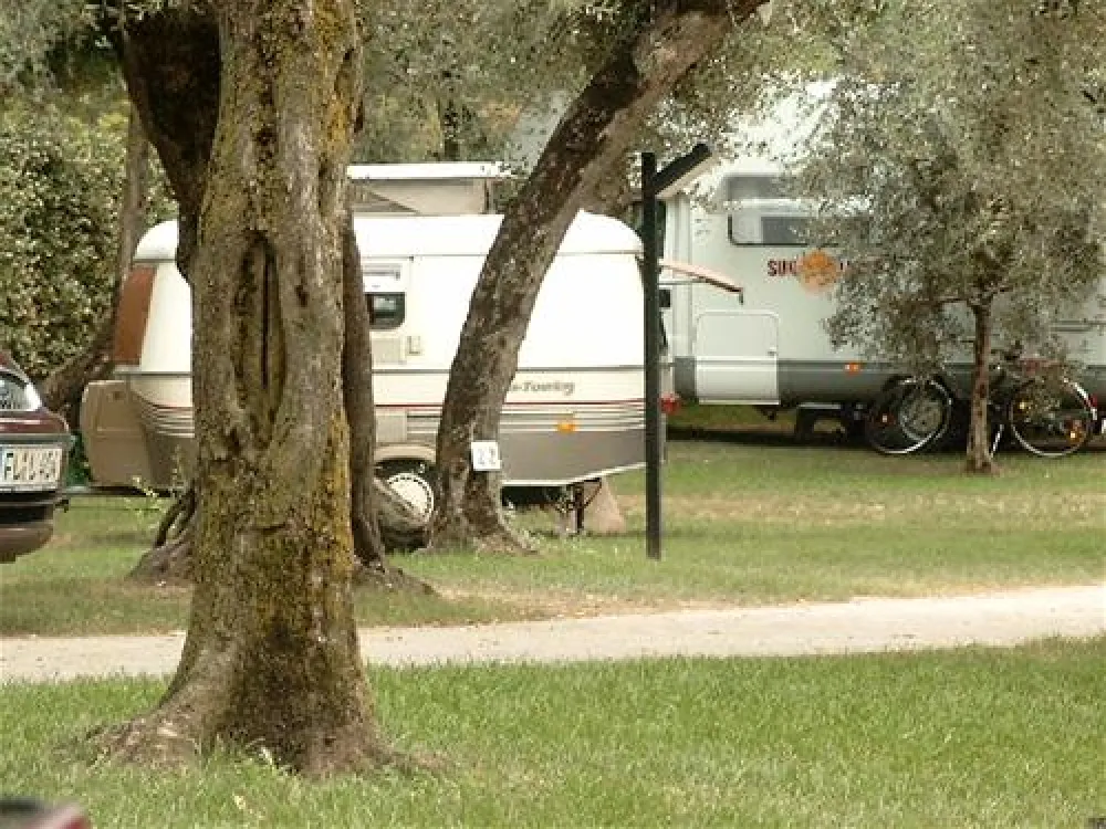 Camping Tonini