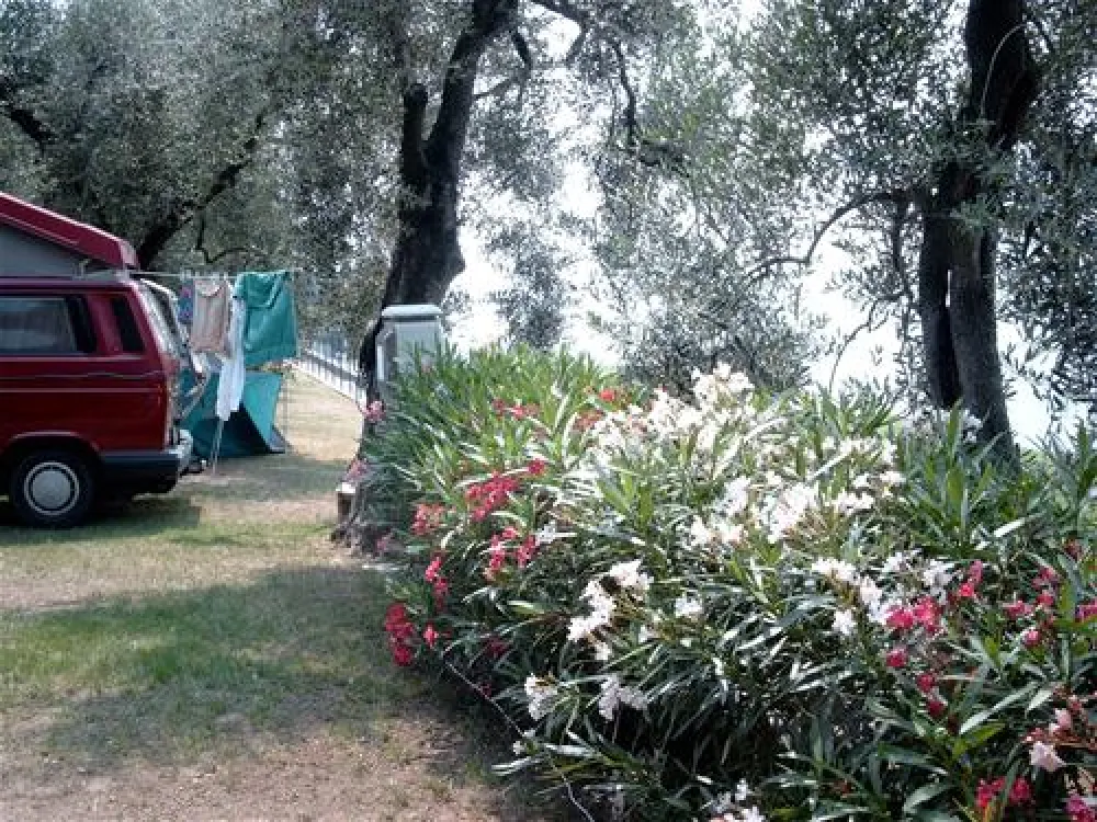 Camping Tonini