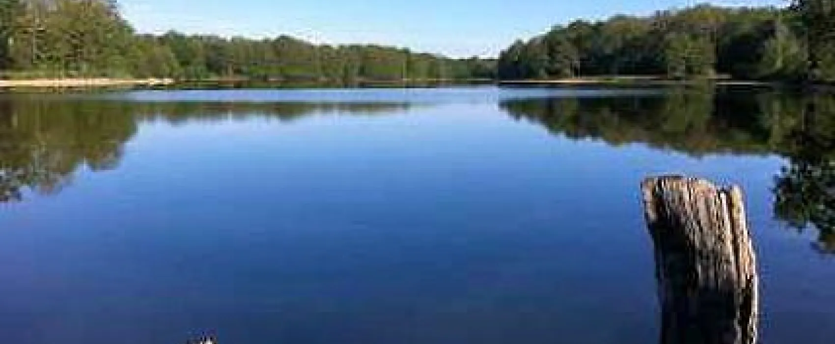 Domaine de la Dombes