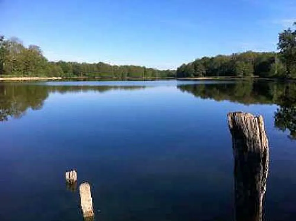 Domaine de la Dombes