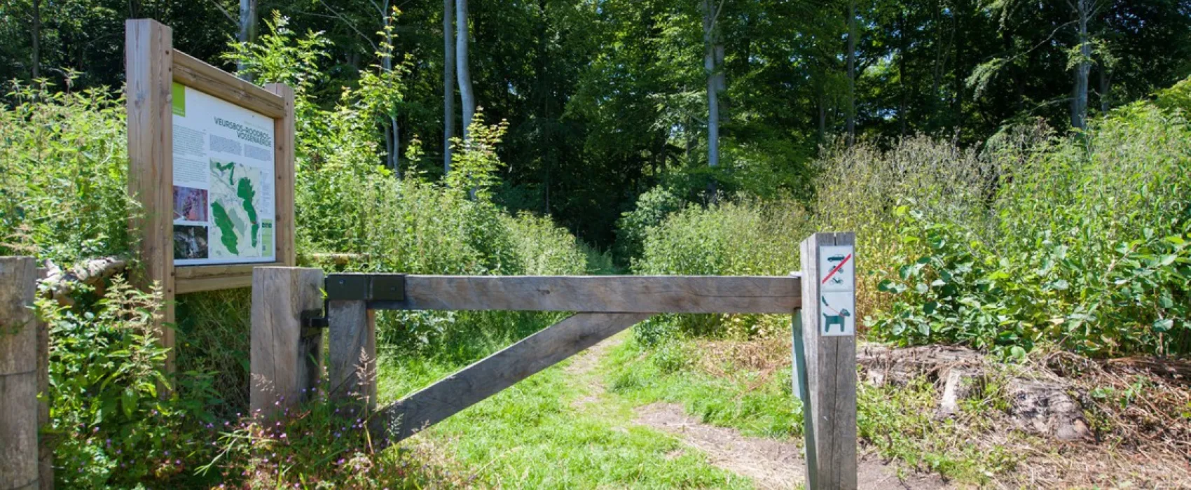 Camping Natuurlijk Limburg