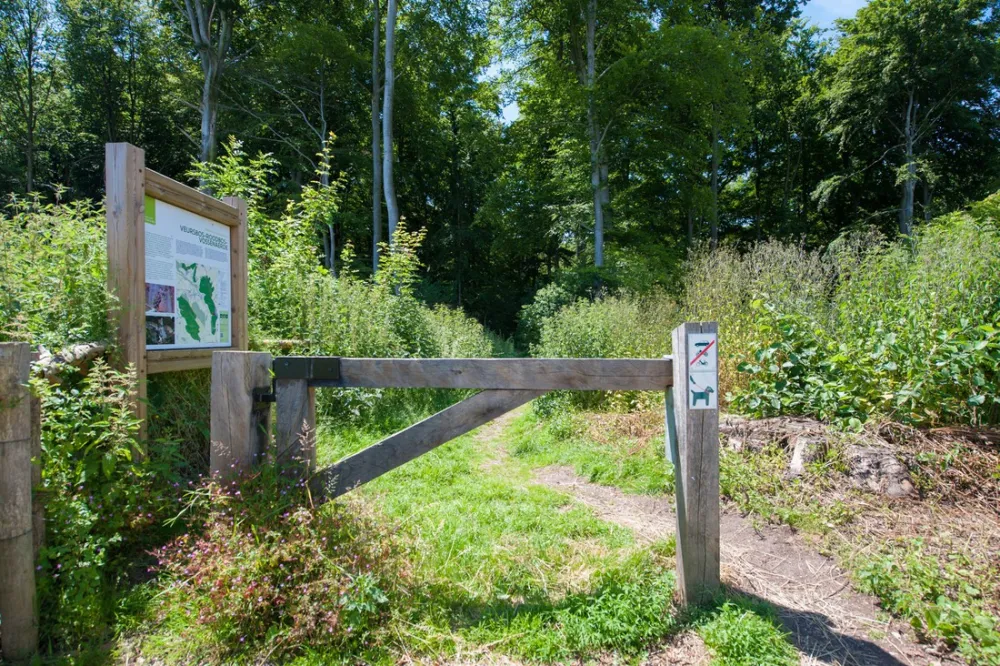 Camping Natuurlijk Limburg