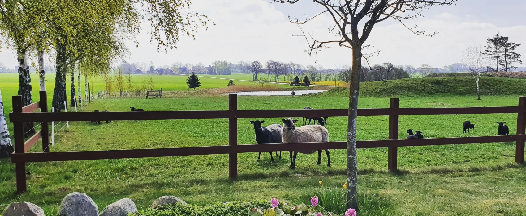 Aplagårdens B&B och vingård