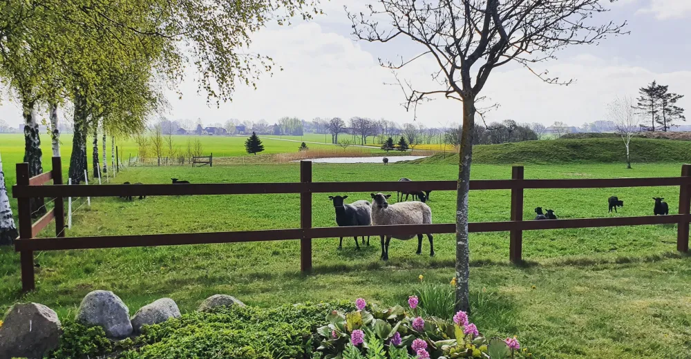 Aplagårdens B&B och vingård