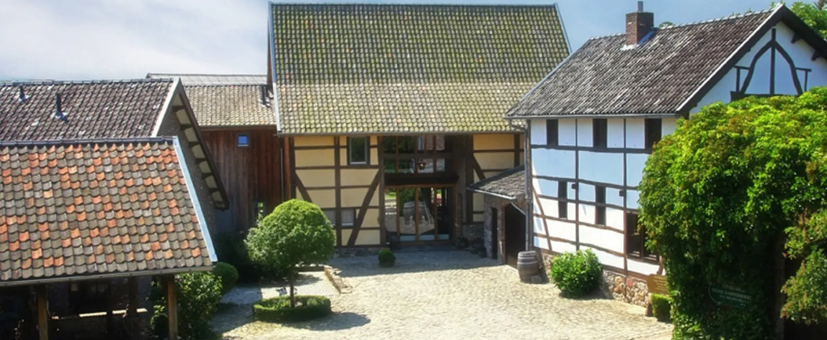 Groepsaccommodaties De Vinkenhof