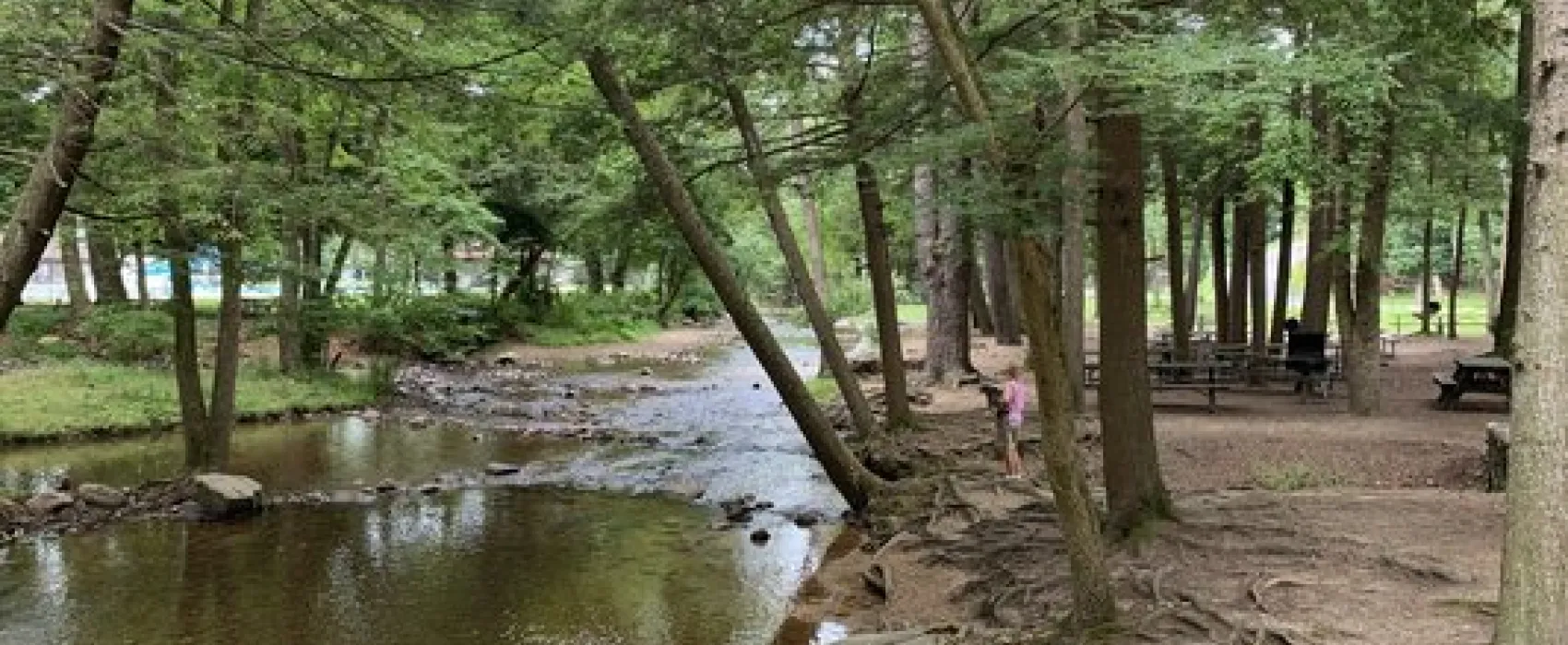 Caledonia State Park