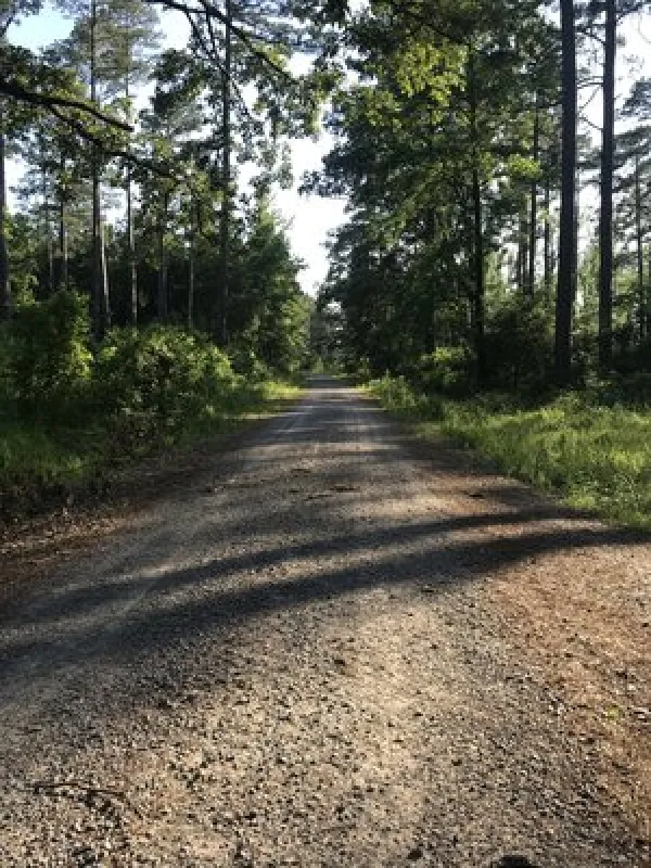 Turkey Trot Hunter Camp