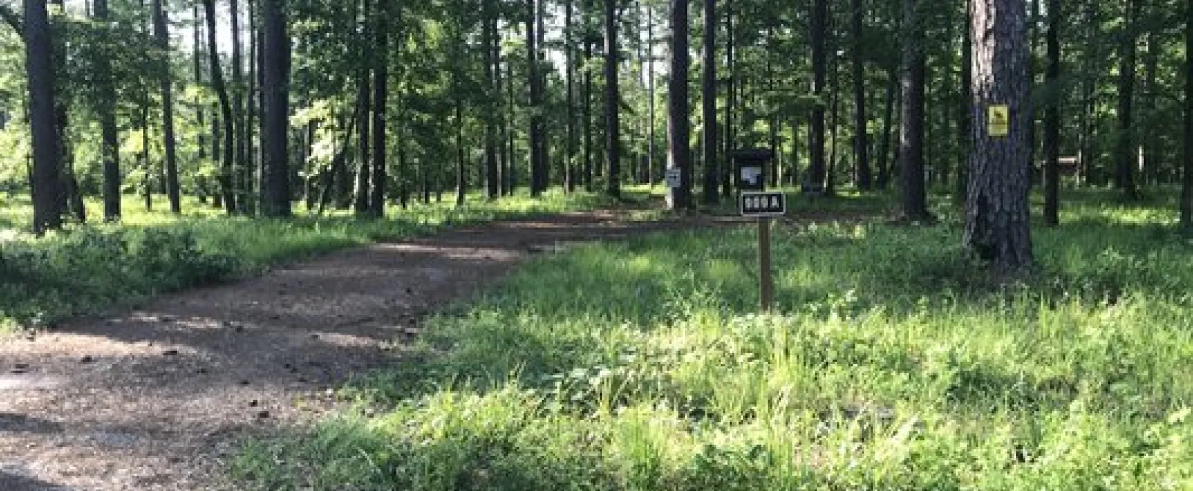 Turkey Trot Hunter Camp