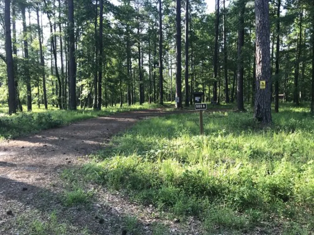 Turkey Trot Hunter Camp