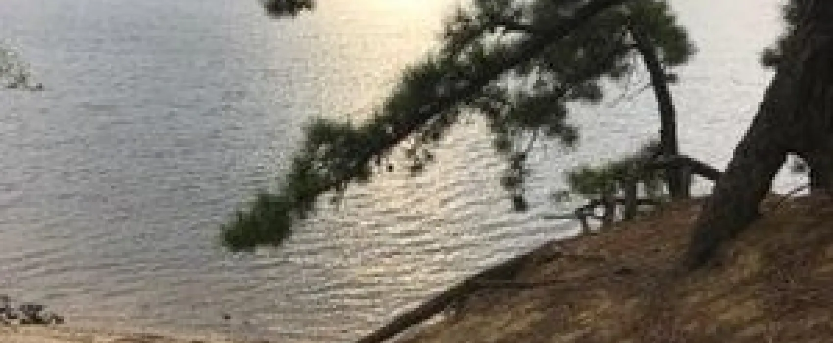 Beach Pond Boat Ramp Area