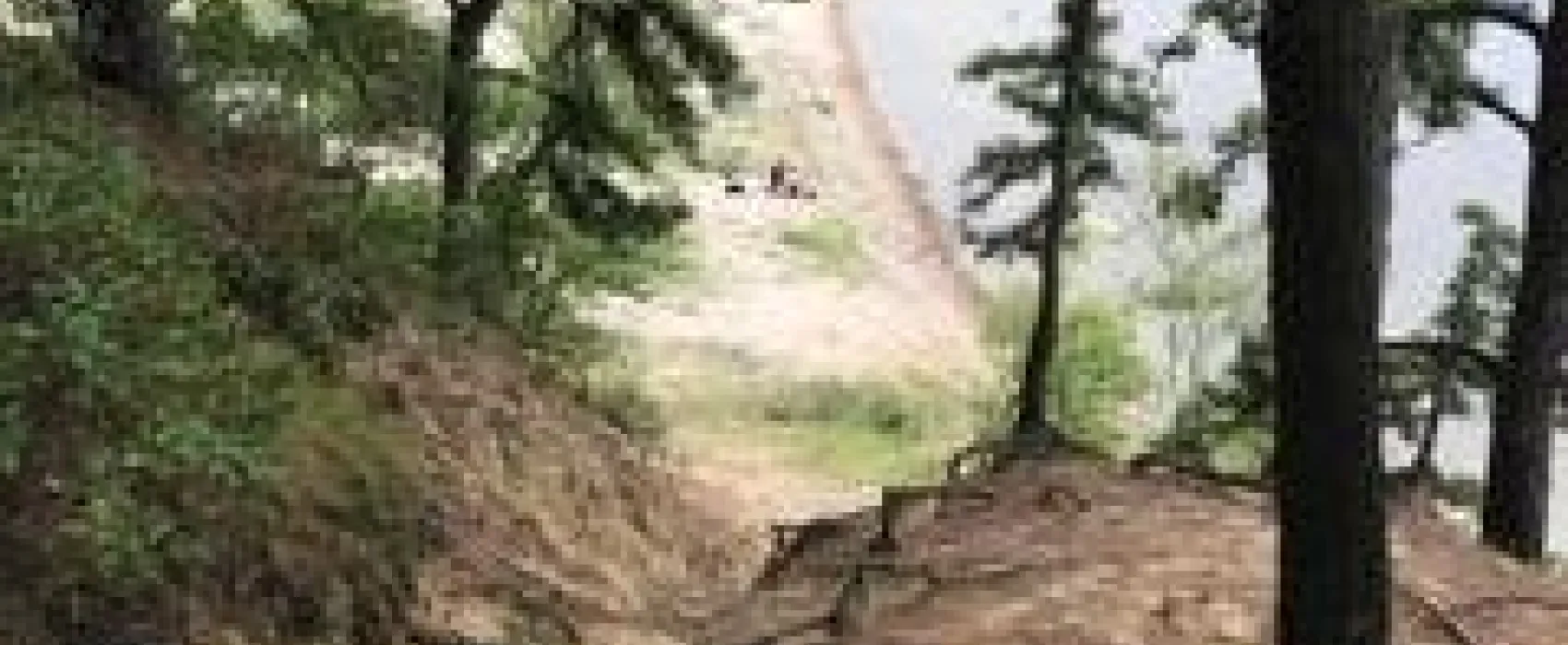 Beach Pond Boat Ramp Area