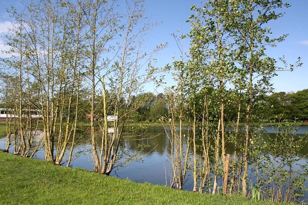 Campingplatz am Quellensee