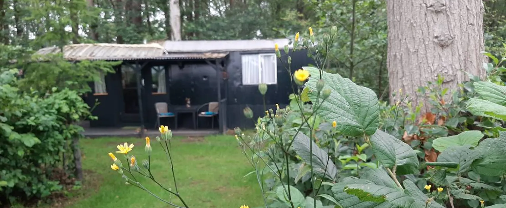 Minicamping de Hippe Kip