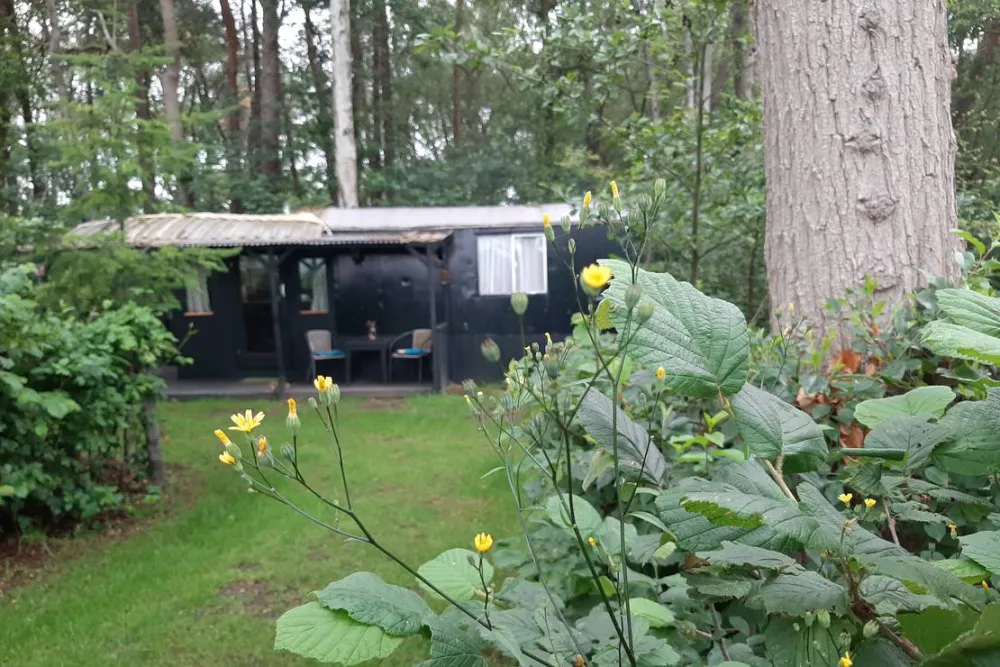 Minicamping de Hippe Kip