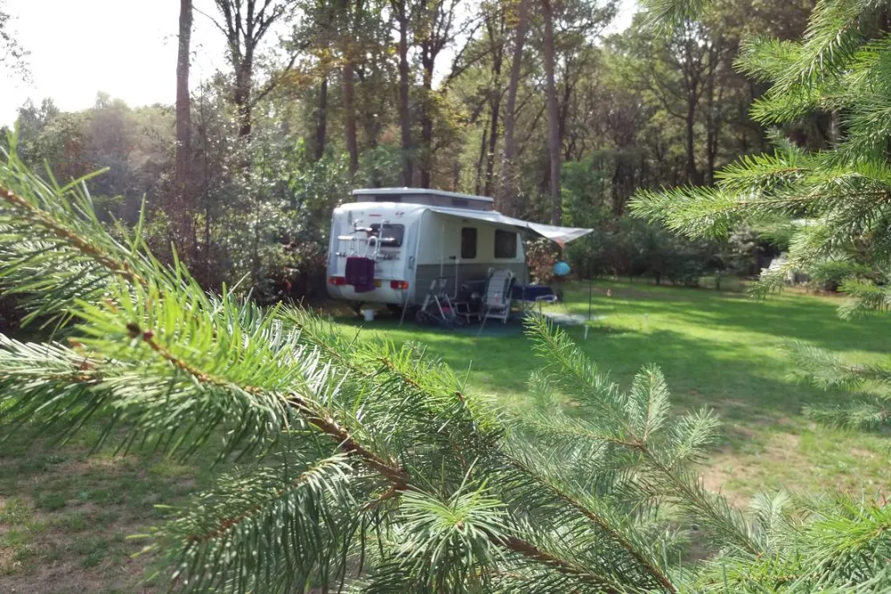 Minicamping de Hippe Kip