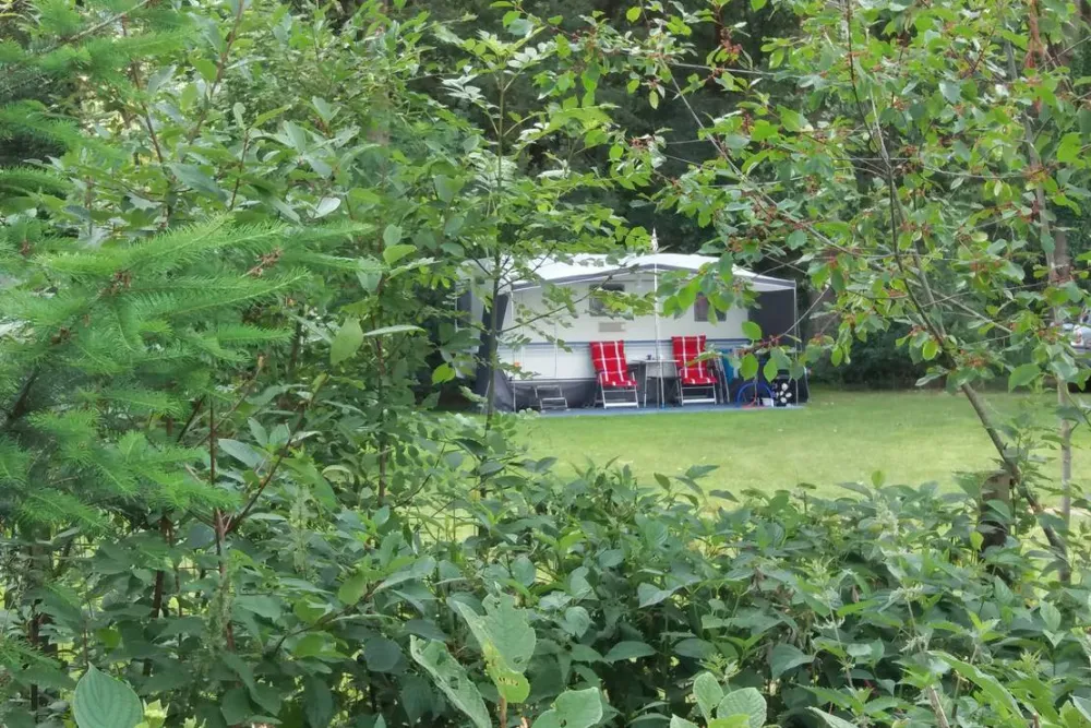 Minicamping de Hippe Kip