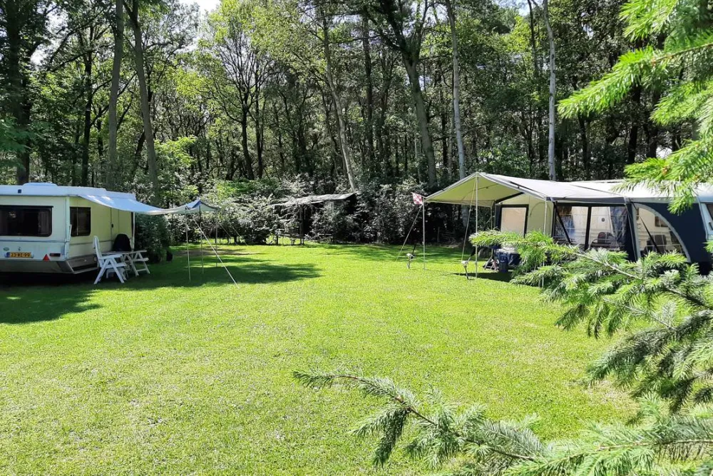 Minicamping de Hippe Kip