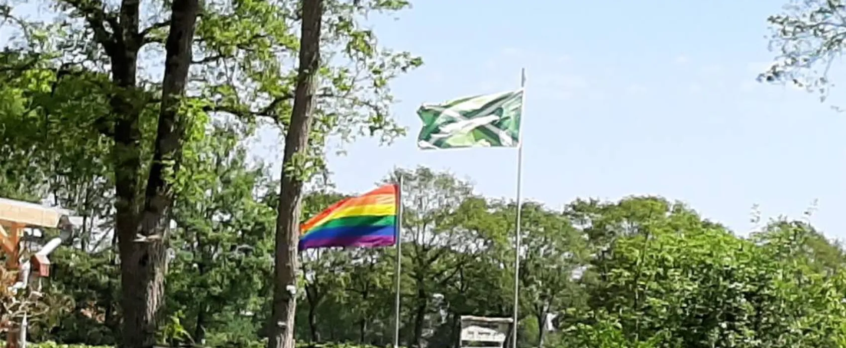 Minicamping de Hippe Kip